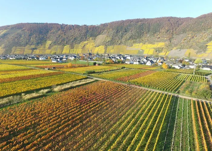 Georg Andre Soehne Apartmán *